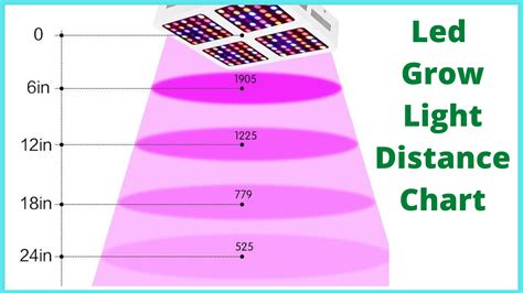 Led Grow Light Distance Chart Every Grower Must Know