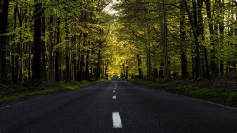 Download 3840x2160 Highway Forest Tree Road Spring 4k Wallpaper