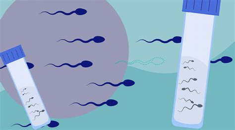 Male Fertility How Everyday Chemicals Are Destroying Sperm Counts In