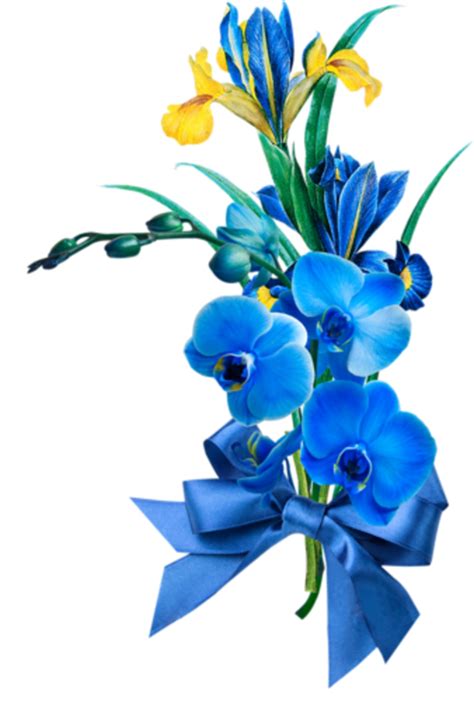 Download tube fiori png png image for free. fiori azzurri viola blu lilla
