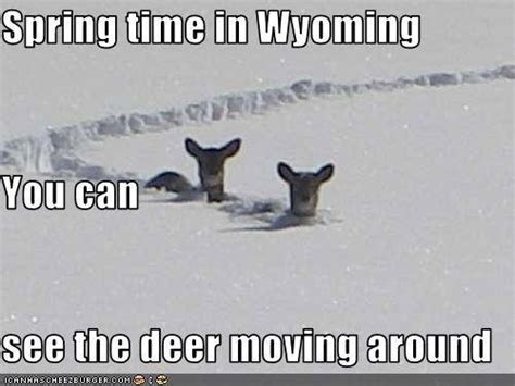 See The Best Wyoming Memes As Of 2018