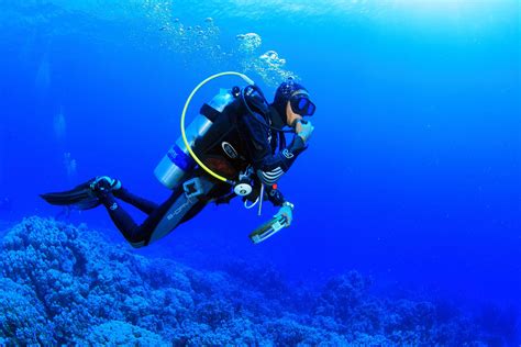 Scuba Diving Wallpaper 59 Images