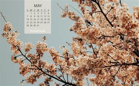 May 2017 Blooms Desktop Calendar Free May Wallpaper