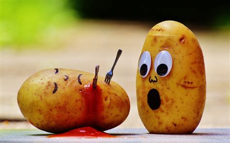 Eating Potatoes Wont Actually Kill You Popular Science