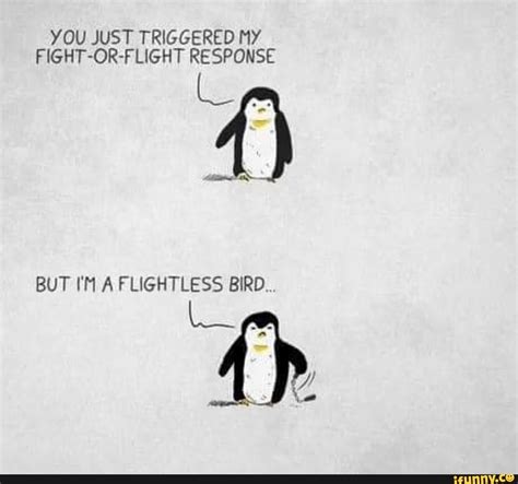 You Just Triggered My Fight Or Flight Response But I M Aflightless Bird Ifunny