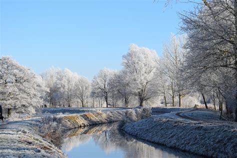 Gratis Billeder Landskab Træ Natur Afdeling Sne Vinter Plante