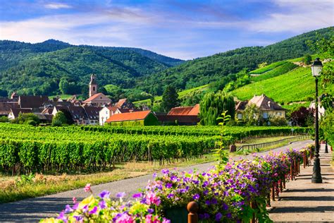 The Wines Of Alsace A Hidden Treasure Cellar Tours