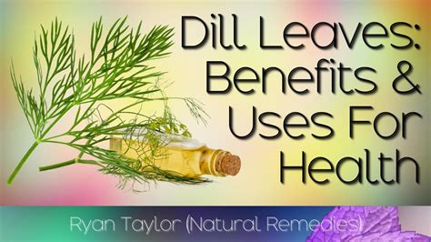 dill benefits and uses youtube