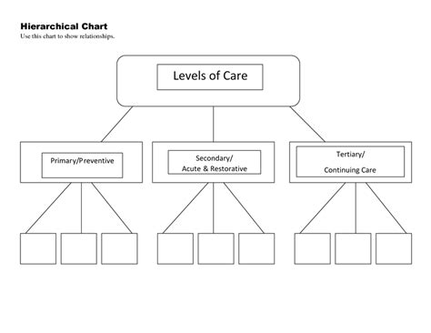 Levels Of Care Preventive Primary Secondary Tertiary Restorative
