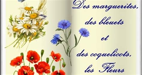 Bouquet coquelicot bleuet marguerite : Bouquet Coquelicot Bleuet Marguerite : Bouquet De ...