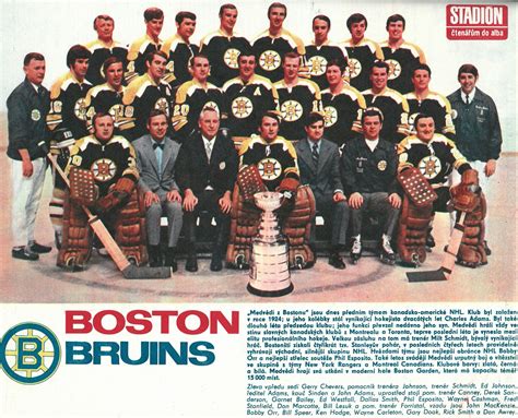 Boston Bruins Boston Bruins Hockey Teams Bruins