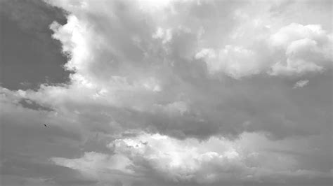 Wallpaper Cloud Sky Atmosphere Natural Landscape Plant Grey