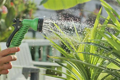 Handheld Sprinklers Watering Plants Spray Water To Plants In Home
