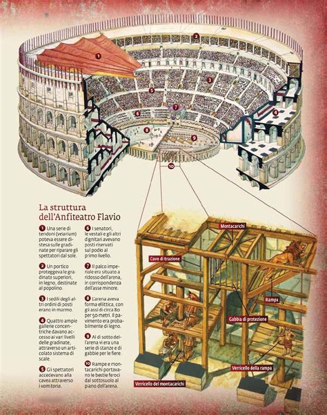Cross Section Of The Flavian Amphitheater Ancient Roman Architecture