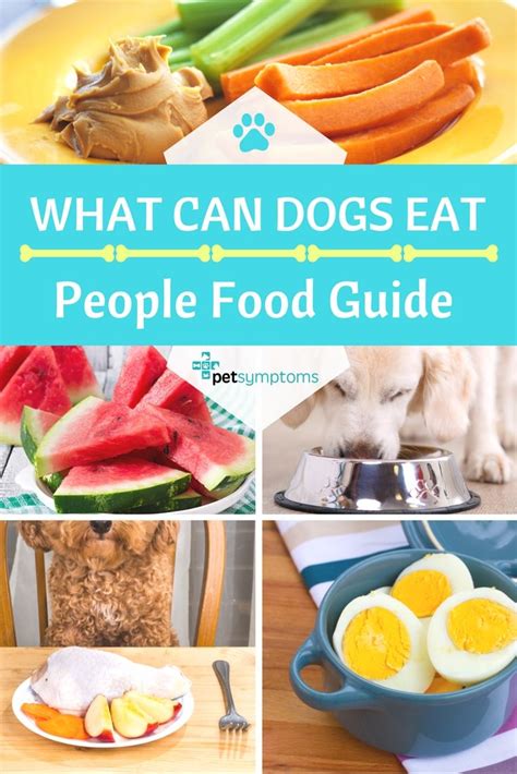 What Can Dogs Eat People Food Guidel For Pet Owners Dog Food