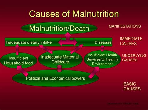 Ppt Malnutrition Powerpoint Presentation Id2000863