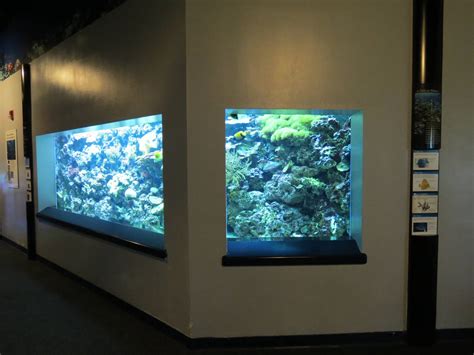 Ppg Aquarium The Coral Reef Reef Fish Exhibit Zoochat