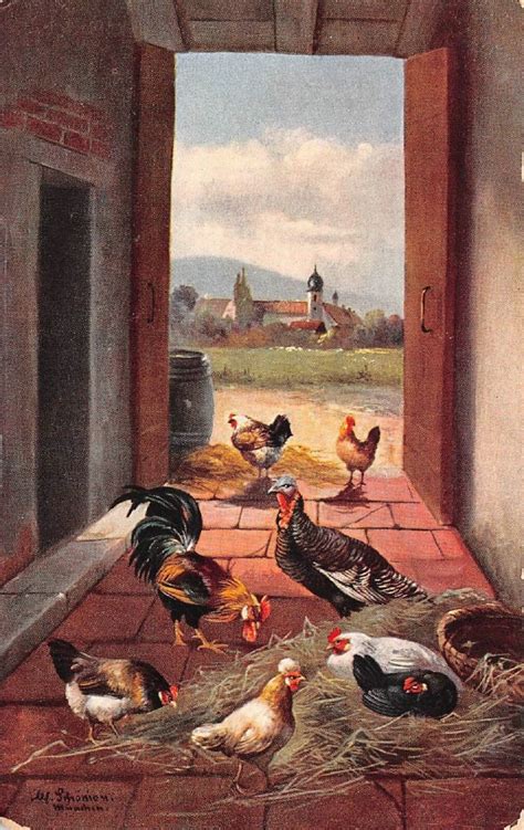 Chickens And Roosters At The Farm Free Stock Photo Public Domain Pictures