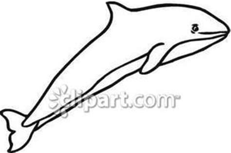 Read more information about the harbor porpoise ». Outline of A Jumping Porpoise - Royalty Free Clipart Picture