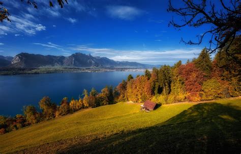 Wallpaper Autumn Trees Mountains Lake Switzerland Switzerland