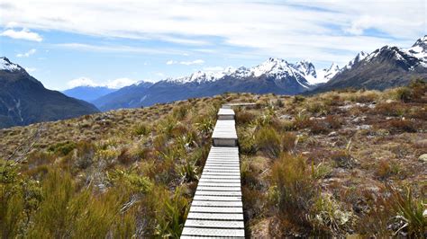 Fiordland Best Walks The Best Hikes In Fiordland National Park Best