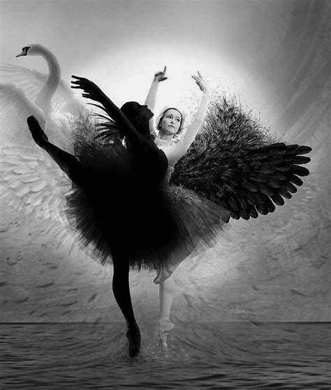Black Swan Dance Art Ballet Art Ballet
