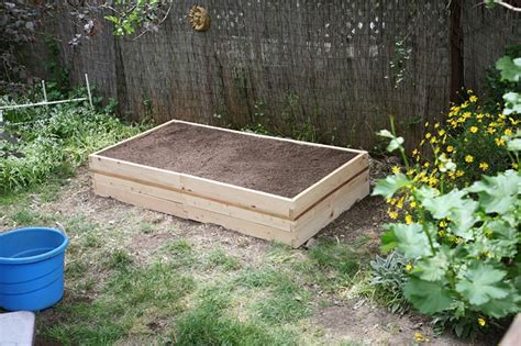 How To Build A Raised Rose Bed Easy Beginner Diy A Prettier Petal