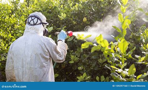 Worker Fumigating Plantation Of Lemon Trees In Spain Stock Photo