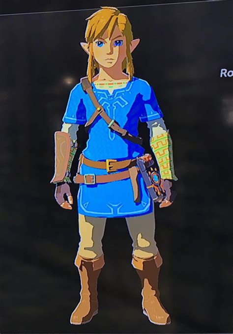 Link Botw Champions Tunic Legend Of Zelda Link Cosplay Character