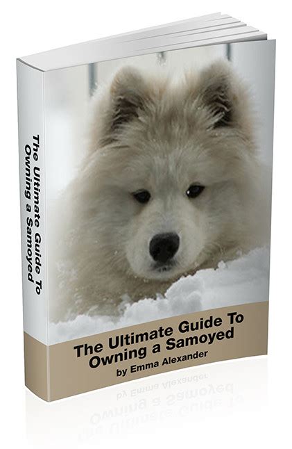 Are Samoyed Hypoallergenic Dogs Hypoallergenic Dog