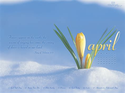 47 April Flowers Desktop Wallpaper