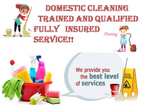 ?‍?DOMESTIC CLEANING!! WE CAN MAKE YOUR HOME SPARKLE!!? | Domestic cleaning, Cleaning, Cleaning ...