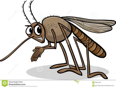 Mosquito Insect Cartoon Illustration Stock Vector