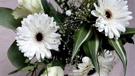 Composizione fiori di stagione su vaso in legno laccato. Piccoli Fiori Bianchi Per Composizione Floreale / 10 ...