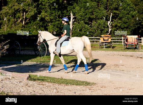 Horse Riding In Acadia National Park Stock Photo Alamy