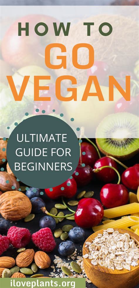 Going Vegan In 2020 The Ultimate Guide For Beginners Vegan Recipes