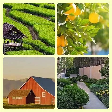 Ultrasonic Animal Repeller, Outdoor Waterproof Solar Animal Deterrent