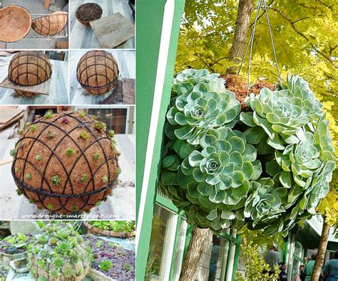 Succulents are my favorite plants in all the world; Gorgeous Gardening - Create Your Own Hanging Succulent Ball