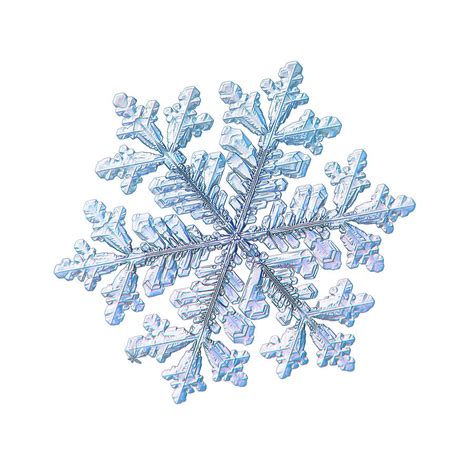 Real Snowflake Hyperion White Photograph By Alexey Kljatov Fine Art