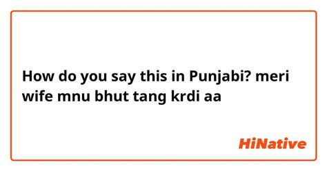 How Do You Say Meri Wife Mnu Bhut Tang Krdi Aa In Punjabi Hinative