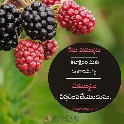 Check spelling or type a new query. Pin by V.Anu on ♥️jᎬsus mᎪssᎪᎶᎬ | Bible quotes telugu ...