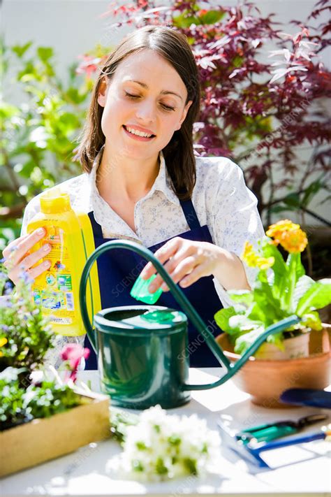 woman gardening stock image c031 4947 science photo library