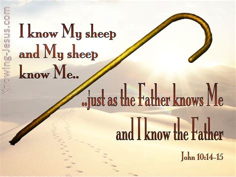 John 1014 I Know My Sheep And My Sheep Know Me White