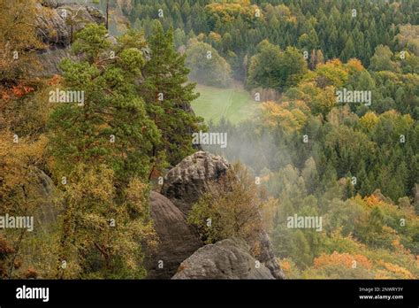 Autumn In The Elbe Sandstone Mountains Bad Schandau Schrammsteine
