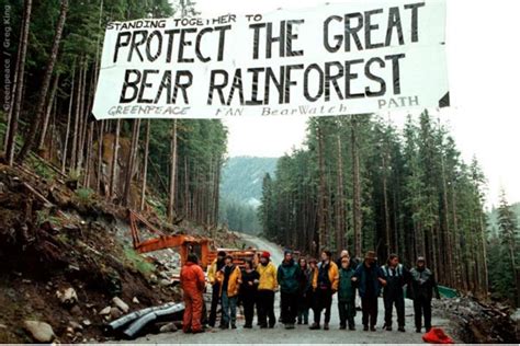 The Great Bear Rainforest Canadas T To The World National Observer