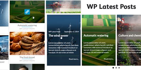 Wp Latest Posts Recent Content Display