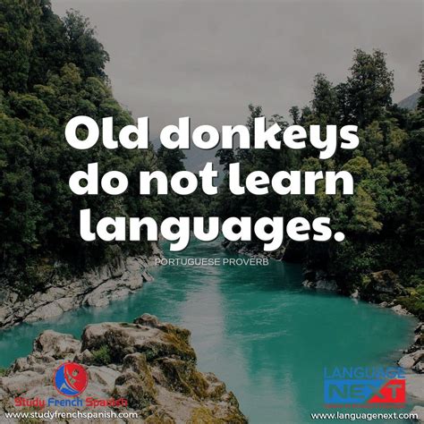 Try our safesea to united states dollar currency conversion & calculator. #LanguageQuotes #LanguageLearning #SFS in 2020 | Language quotes, Foreign language courses ...