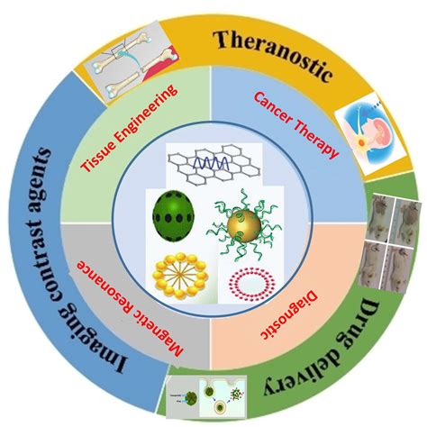 Functional Nanomaterials In Biomedicine Current Uses And Potential