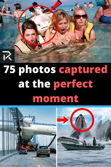 75 Photos Captured At The Absolute Perfect Moment Perfectly Timed