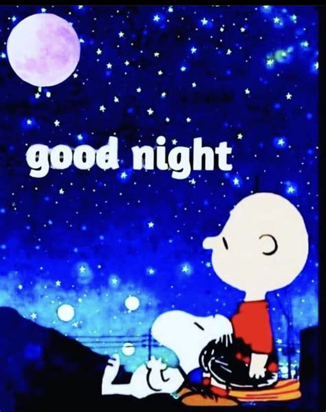 Pin By On Snoopy And The Gang Good Night Hug Good Night Greetings